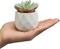 Mini Assorted Green Faux Succulent, Indoor Fake Plants in Geometric Ceramic Pots, Set of 6